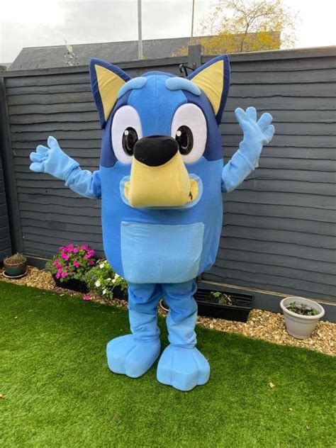 Bluey mascot attire available for purchase